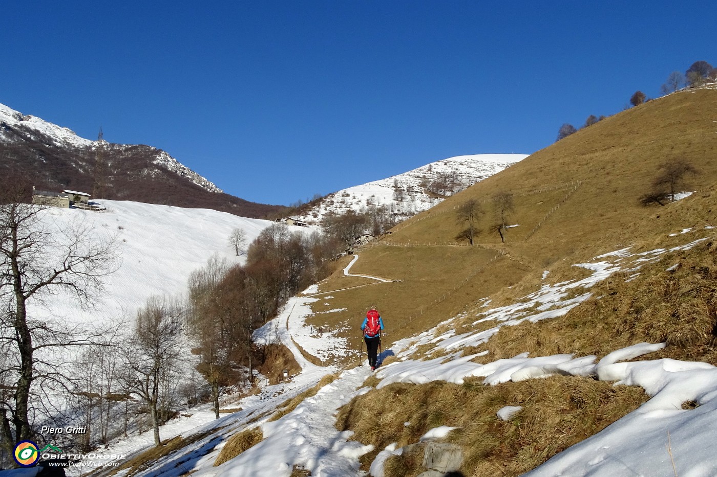 19 Siamo sul 578, tratto 'Sentiero dei grandi alberi, del grande faggio'.JPG